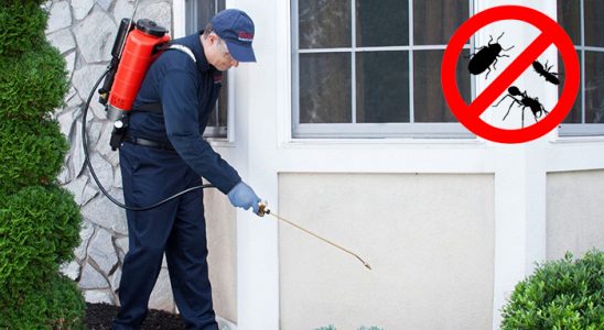 Samsun Hamam Böceği İlaçlama böcek ilaçlama ve haşere kontrolü — ilaclama-tr.com